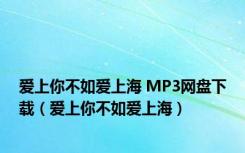 爱上你不如爱上海 MP3网盘下载（爱上你不如爱上海）