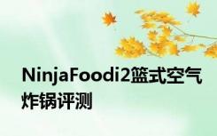 NinjaFoodi2篮式空气炸锅评测