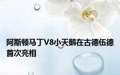 阿斯顿马丁V8小天鹅在古德伍德首次亮相