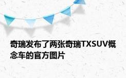 奇瑞发布了两张奇瑞TXSUV概念车的官方图片