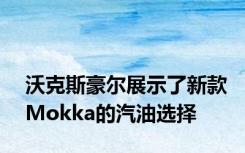 沃克斯豪尔展示了新款Mokka的汽油选择