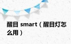 醒目 smart（醒目灯怎么用）