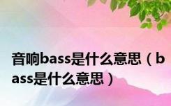 音响bass是什么意思（bass是什么意思）