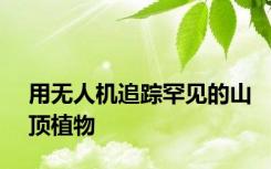 用无人机追踪罕见的山顶植物