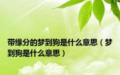 带缘分的梦到狗是什么意思（梦到狗是什么意思）