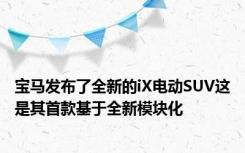 宝马发布了全新的iX电动SUV这是其首款基于全新模块化