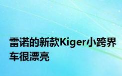 雷诺的新款Kiger小跨界车很漂亮