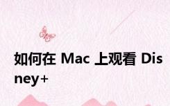 如何在 Mac 上观看 Disney+