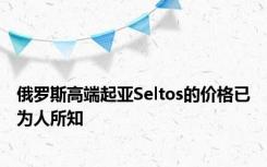 俄罗斯高端起亚Seltos的价格已为人所知