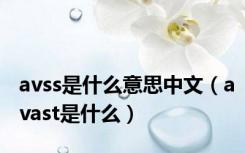 avss是什么意思中文（avast是什么）