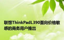 联想ThinkPadL390面向价格敏感的商务用户推出