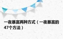 一夜暴富两种方式（一夜暴富的47个方法）