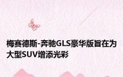 梅赛德斯-奔驰GLS豪华版旨在为大型SUV增添光彩