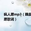 疯人愿mp3（魏晨疯人愿歌词）