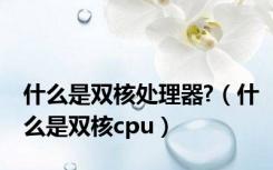 什么是双核处理器?（什么是双核cpu）