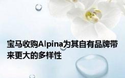 宝马收购Alpina为其自有品牌带来更大的多样性