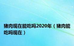 猪肉现在能吃吗2020年（猪肉能吃吗现在）