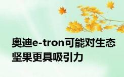 奥迪e-tron可能对生态坚果更具吸引力