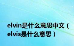 elvin是什么意思中文（elvis是什么意思）