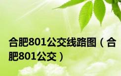 合肥801公交线路图（合肥801公交）