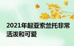 2021年起亚索兰托非常活泼和可爱