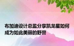 布加迪设计总监分享凯龙星如何成为如此美丽的野兽