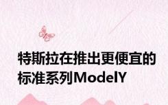 特斯拉在推出更便宜的标准系列ModelY