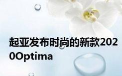 起亚发布时尚的新款2020Optima