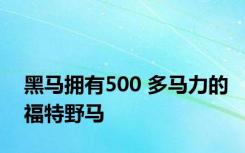 黑马拥有500 多马力的福特野马