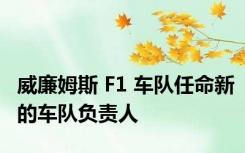 威廉姆斯 F1 车队任命新的车队负责人