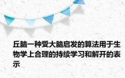 丘脑一种受大脑启发的算法用于生物学上合理的持续学习和解开的表示