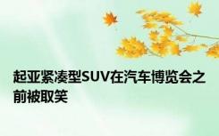 起亚紧凑型SUV在汽车博览会之前被取笑