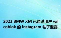 2023 BMW XM 已通过用户 wilcoblok 的 Instagram 帖子泄露