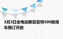 3月3日全电动新菲亚特500掀背车预订开放