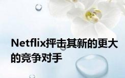 Netflix抨击其新的更大的竞争对手