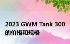 2023 GWM Tank 300 的价格和规格