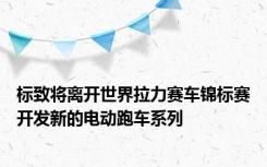 标致将离开世界拉力赛车锦标赛开发新的电动跑车系列