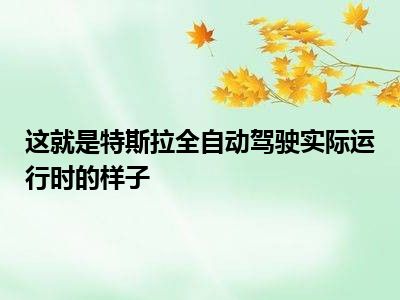 这就是特斯拉全自动驾驶实际运行时的样子