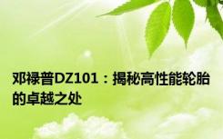 邓禄普DZ101：揭秘高性能轮胎的卓越之处