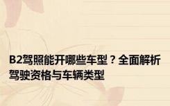 B2驾照能开哪些车型？全面解析驾驶资格与车辆类型