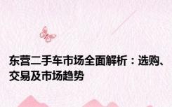 东营二手车市场全面解析：选购、交易及市场趋势