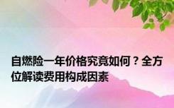 自燃险一年价格究竟如何？全方位解读费用构成因素